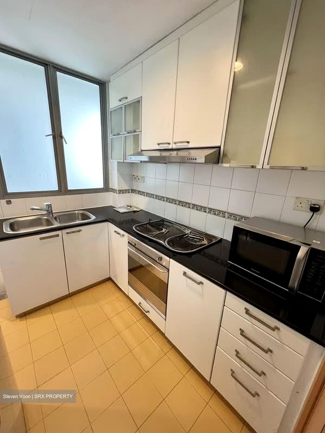 Thomson Euro-asia (D11), Condominium #539533781